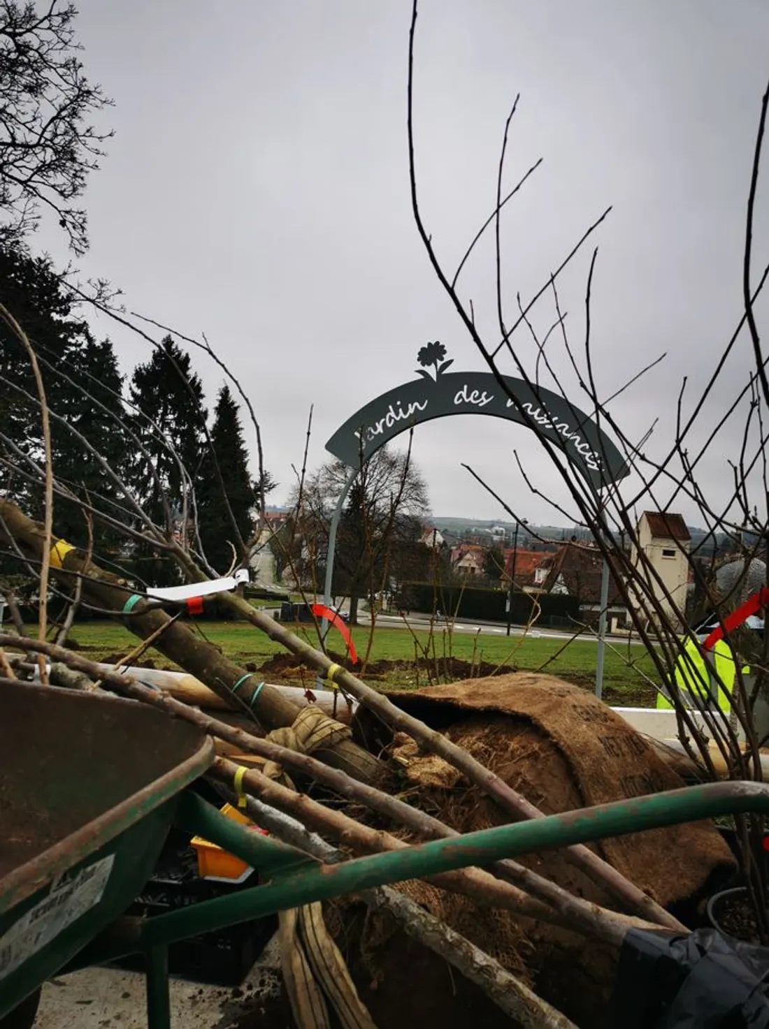 Des arbres fruitiers essentiellement